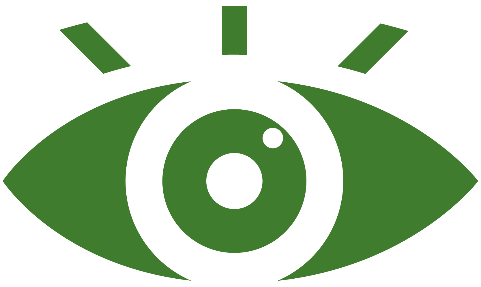 vision